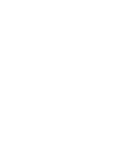 Danz Jewelers monogram